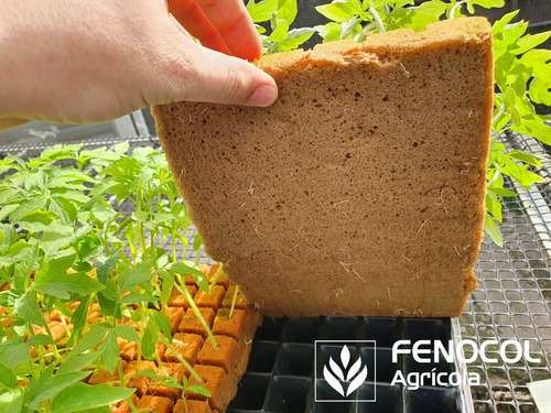 Imagen 3 de 9 de Kit Germinación Ultrafoam 2x2x3.5