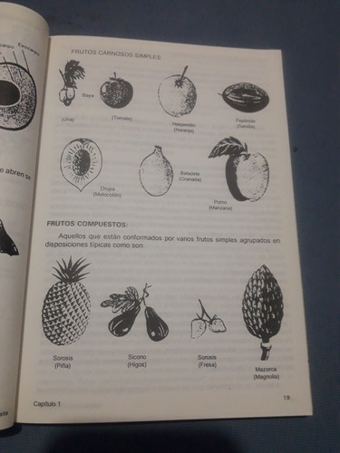Libro Arquitectura Paisajista Árboles De Rafael Cubas (Usado)