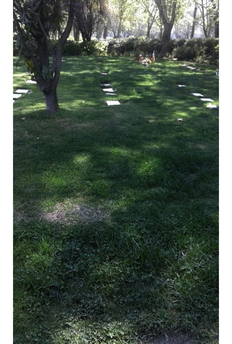 Imagen 9 de 12 de Sepultura Parque Del Recuerdo, Sector C-12