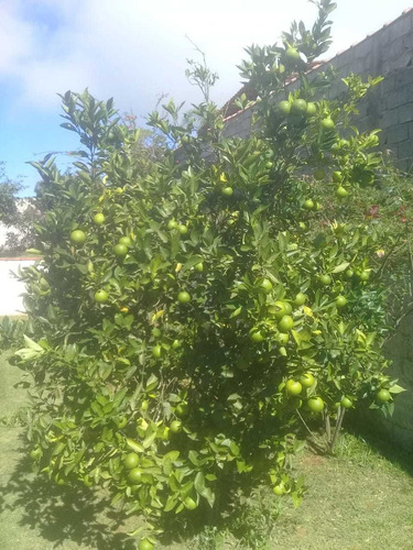 Chácara Ibiúna 1.000 Mts Casa, Piscina, Boa Localização !