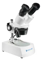 Comprar Lupa - Microscópio Binocular Estereoscópio DI-224 DIGILAB 20x e 40x Aumento Fixo Led A Vista Frete gratis Cor Branco Bivolt Automático Melhor Modelo de Entrada Placas, Embrião, Botânica e Muito mais