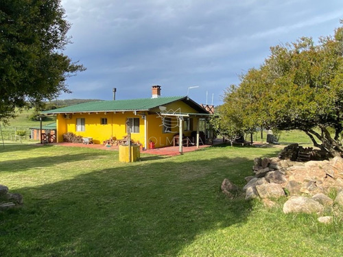 Imagen 3 de 12 de Campo Con Casa En Pueblo Eden - Pueblo Eden