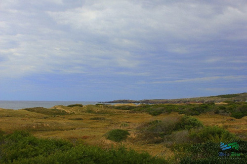 Imagen 9 de 11 de Venta Terreno Primera Linea Playa Mansa - Punta Del Este Mansa