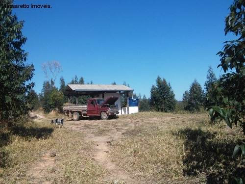 Imagem 4 de 4 de Sitio - A Venda - Itatiba - St00046 - 70651283