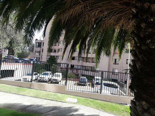 Arriendo Departamento Amoblado Jardín Del Mar