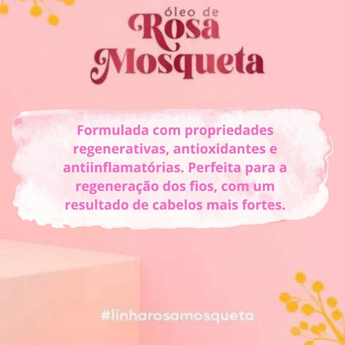 Imagem 9 de 10 de Kit Lançamento Rosa Mosqueta Regeneração Antioxi Vita Seiva