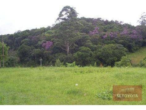 Imagem 9 de 20 de Sítio À Venda, 163000 M² Por R$ 650.000,00 - Vargem Do Salto - Ibiúna/sp - Si0001