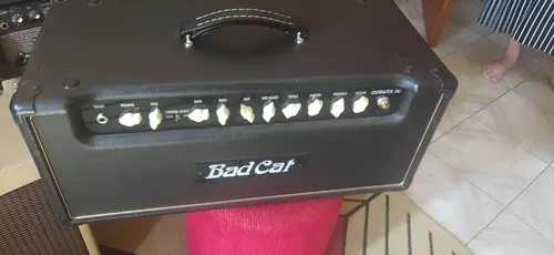 Amplificador Bad Cat Cougar 50h Valvulado | MercadoLivre