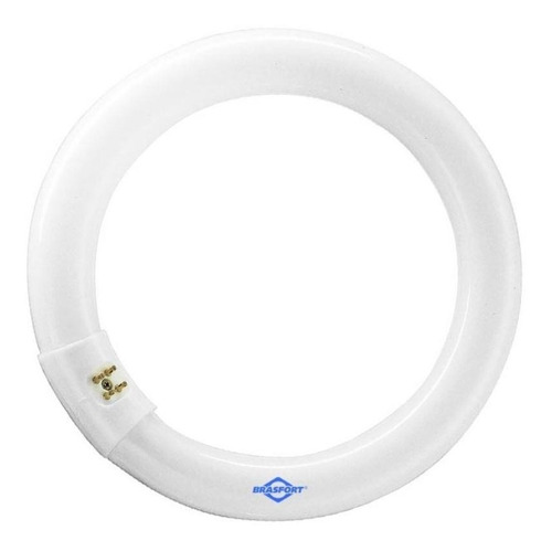 Lâmpada Fluorescente Circular Tl-e 32w / 54-765 Branco Frio