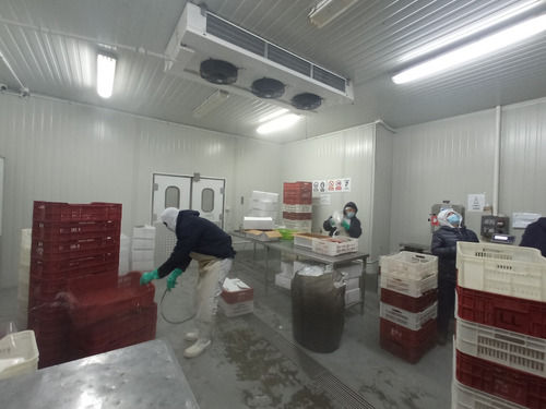 Imagen 26 de 30 de Planta De Alimentos Congelados -ym/ws-