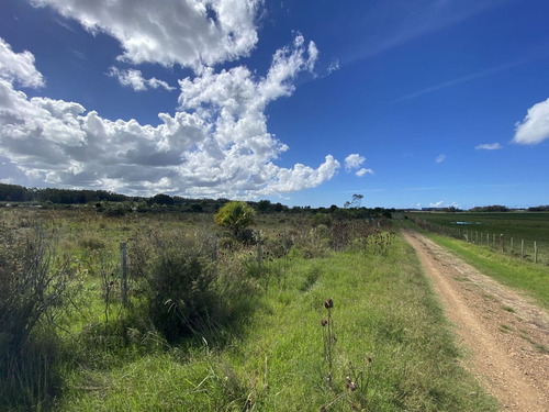 Venta Chacra 10 Hectáreas Ruta 104 Manantiales