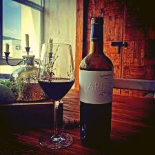 Imagen 2 de 7 de Vino Tinto Mariatinto 750 Ml
