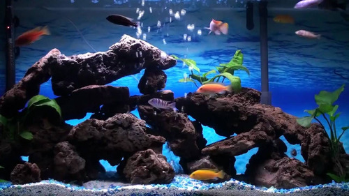 Bomba De Aire Para Acuario Marina 300 + Delivery