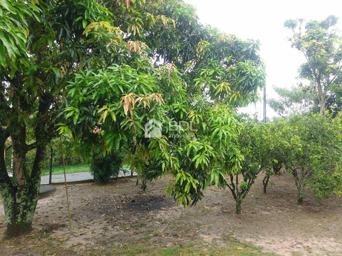 Imagem 17 de 27 de Chácara À Venda Em Bairro Dos Pires - Ch003273
