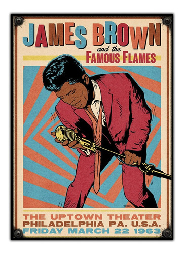 #936 - Cuadro Decorativo Vintage - James Brown Funk No Chapa