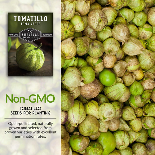 Semilla De Tomatillo Verde Para Huerto Casero