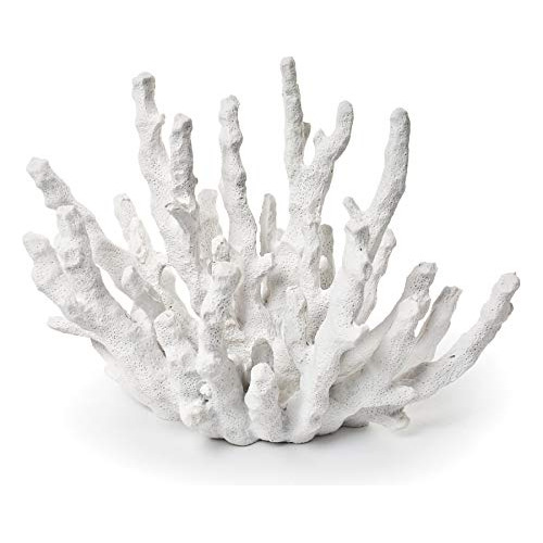 Finger Coral, Blanco (pequeño)