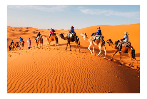Vinilo 80x120cm Desierto Sahara Camellos Paseo En Duna