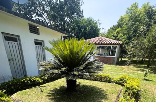 Terreno En Venta Con Alberca En Chiconcuac, Xochitepec Morelos