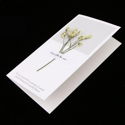 Paquete Flores Secas Tarjetas De Felicitación Amarillo