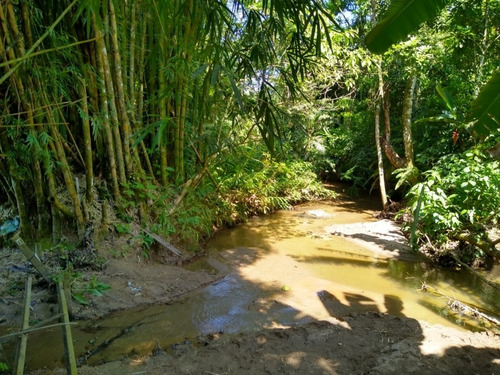 Imagem 18 de 21 de Chácara Venda Sao Sebastiao - Sp - Jaragua - 3822