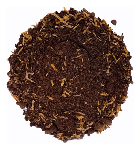 Semilla De Eugenia Kit Para 128 Plantas Cerca Viva