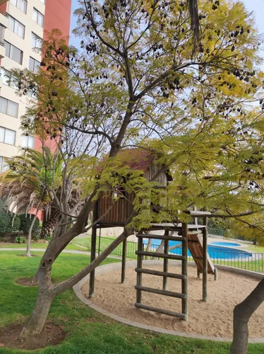 Lindo Dep 3 Dorm. A Pasos Del Centro En Barrio Residencial