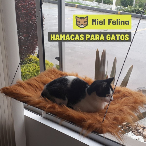 Imagen 4 de 5 de Hamacas De Ventana Para Gatos. Tela De Peluche - Miel Felina