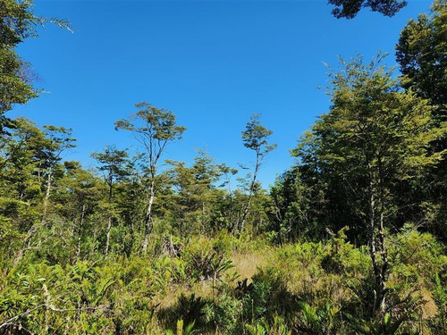 Imagen 5 de 12 de Campito En Venta En Puerto Varas