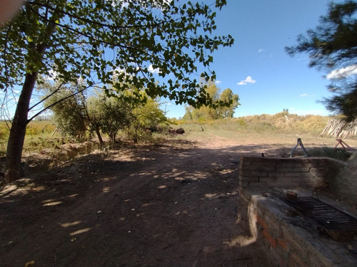 Imagen 8 de 16 de ¡zeballos Estudio Jurídico E Inmobiliaria Vende Finca En Producción En Lavalle! Mat. 134/135