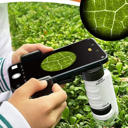 1 Microscopio Científico For Niños 60-120x Con Luz Led