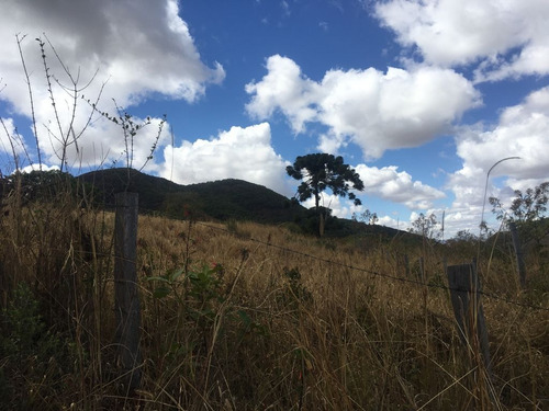 Imagem 19 de 24 de Chácara À Venda, 2800 M² Por R$ 80.000 - Zona Rural - Caldas/mg - Ch0126