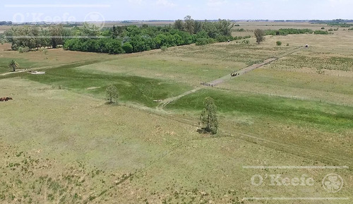 Imagen 4 de 15 de Punta Indio 100 Has Campo En Venta - Ideal Feed Lot - Oportunidad