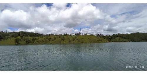 Rhbr-10436 (lote , Guatape)