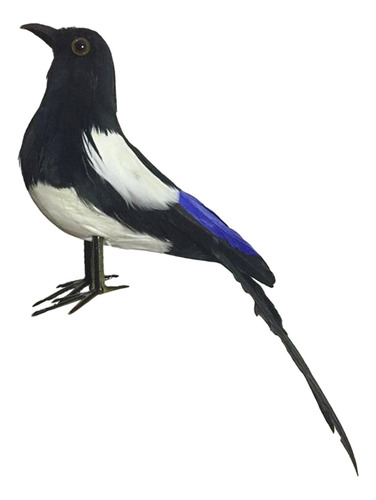 Urraca-pájaro De Imitación, Modelo De Pluma 21cm