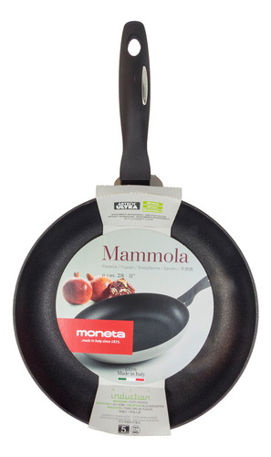 Sartén 24 Cm Mammola De Moneta Color Gris
