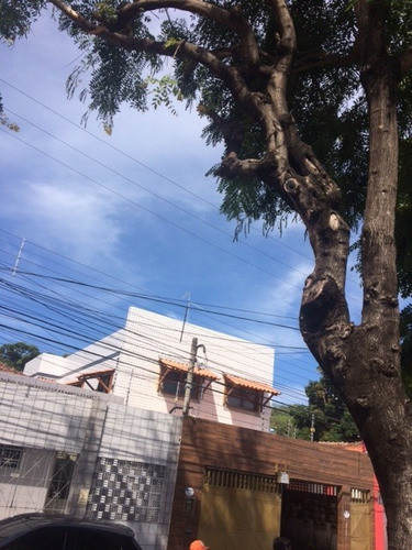 Imagem 2 de 20 de Excelente Casa Comercial/lojas/ponto Comercial, 02 Pavimentos, 02 Vagas, Santo Amaro - Pt00015
