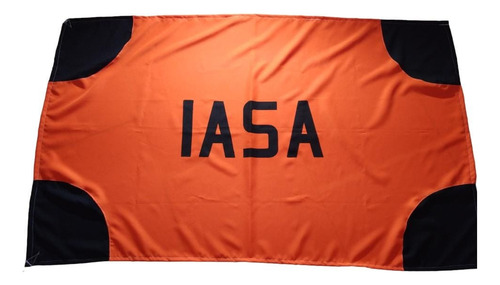 Bandera De Iasa Sudamérica. Medidas Aprobadas Por Auf