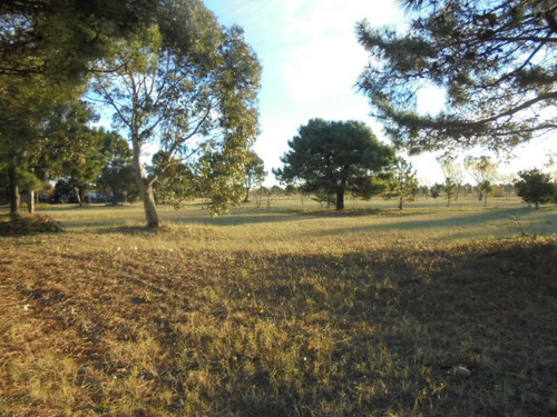 Terreno En Venta En Fraccion Iii