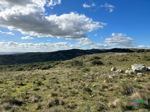Imagen 15 de 24 de Lindo Campo Para Fraccionar, Sobre Ruta Y A Poco Mas De 1 Hora De Punta