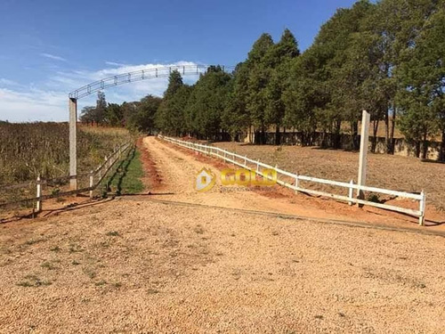Chácara Com 3 Dormitórios À Venda, 10000 M² Por R$ 610.000 - Centro - Andradas/mg - Ch0061