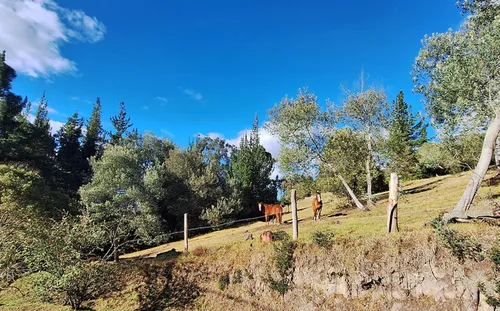 Lote En Venta En Vereda Yerbabuena. Cod V11970009