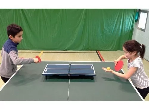 Mesa Ping Pong 15mm Infantil niños chica pequeña