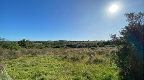Imagen 18 de 30 de Se Vende Campo De 77 Has En Maldonado. A Pocos Km De Aiguá En Zona De Ruta 39. Ubicación Privilegiada!