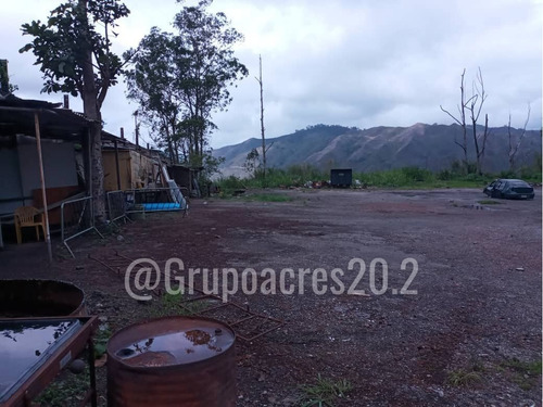 Imagen 4 de 7 de En Venta Un Gran Lote De Terreno En El Limoncito Vía Tejerías.lv