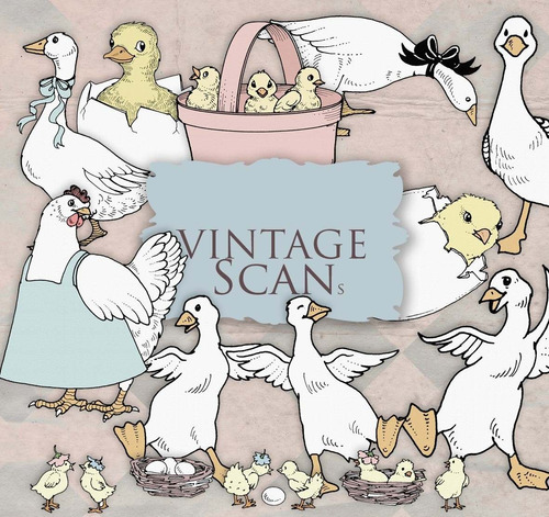 Kit De Imágenes Digitales Shabby Chic Libro Vintage Patos