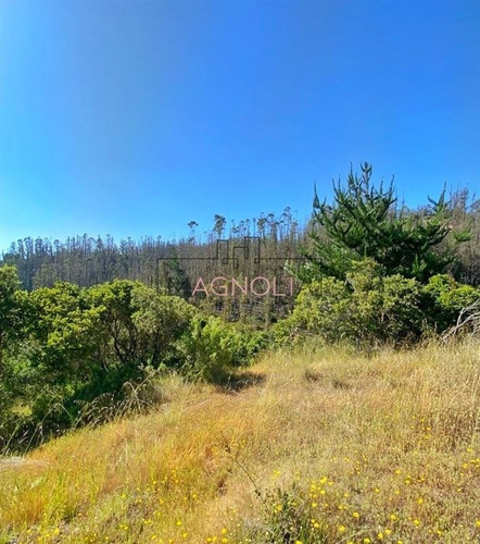 Imagen 17 de 20 de Sitio En Venta En Condominio, Puertecillo, Navidad