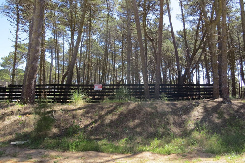 Imagen 6 de 6 de Lote En Venta - Alamos Ii - Av. Fragata Libertad