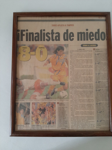 Cuadro Con Recorte De Tigres (Usado)