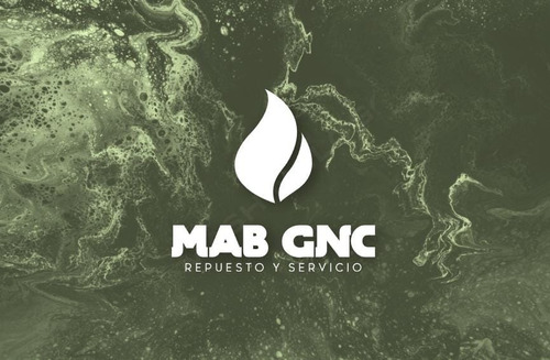 Emulador 4 Cil Gnc Aeb Italiano